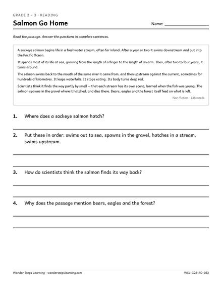 Grade 2 to 3 reading comprehension worksheet